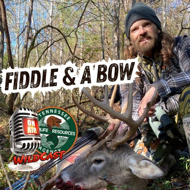 TW 425 - Fiddle & A Bow - podcast episode cover