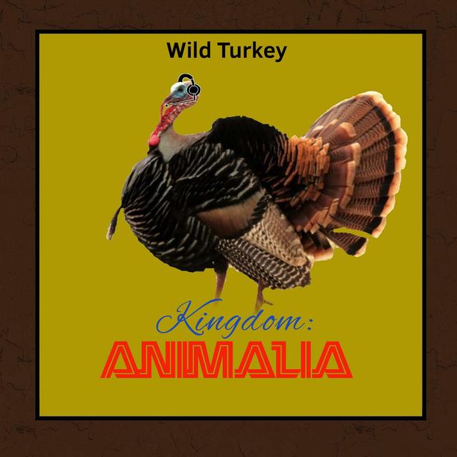 Wild Turkey - podcast episode cover