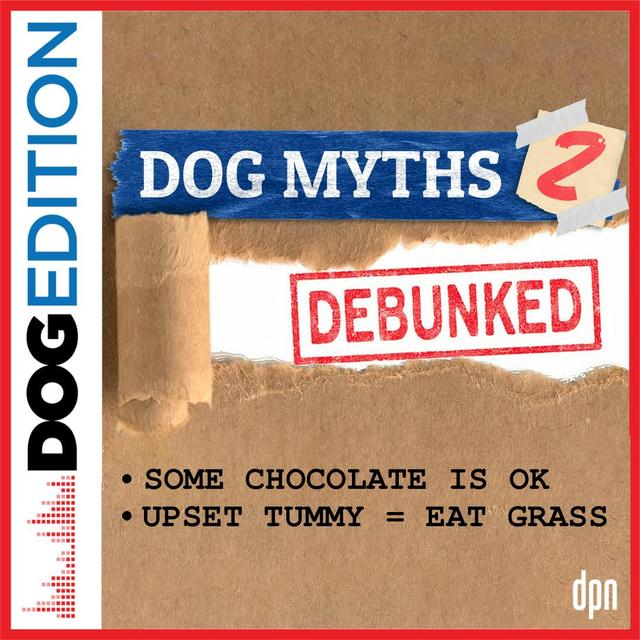 Dog Myths Debunked 2 | Dog Edition #72 - podcast episode cover