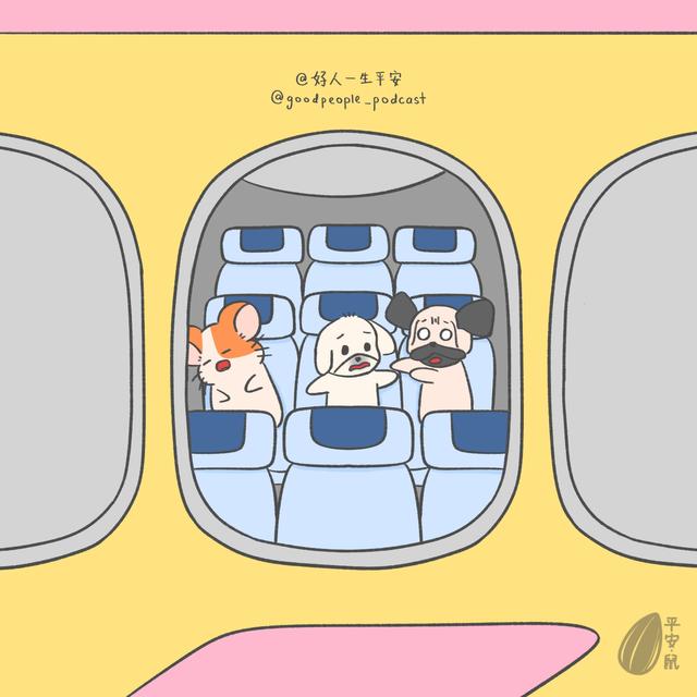EP85 飞机引擎故障极限五小时！ - podcast episode cover