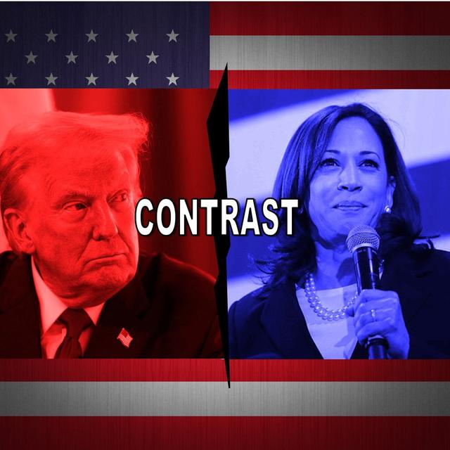 Commentary (Pre DNC Analysis) - podcast episode cover