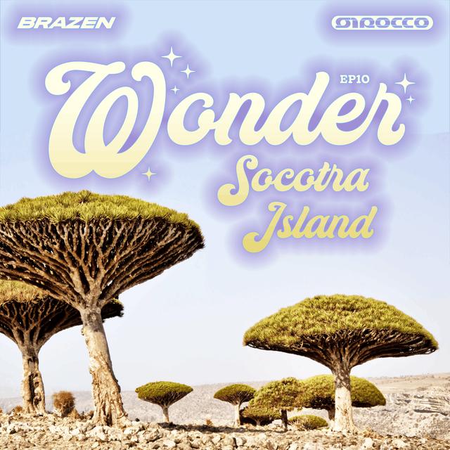 Socotra Island - podcast episode cover