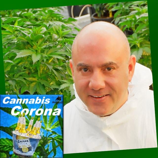 0001: Solaris Farms | Michael Sassano - podcast episode cover