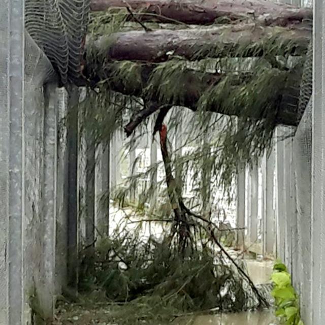 We Never Had Any Storm Like This - podcast episode cover
