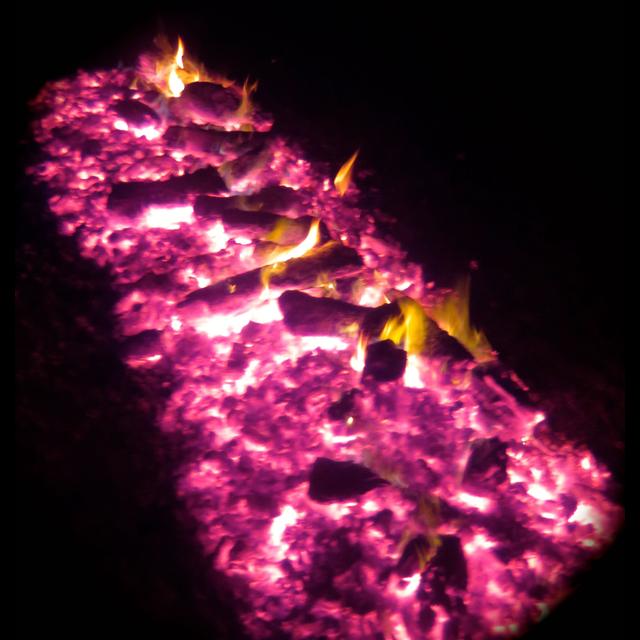 Walking on Fire!! – Dr Marc Hudson, Andy, Dr’s Samuel and Gabriel Floreani and Felix - podcast episode cover