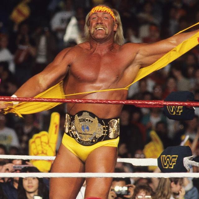 Hulk Hogan, the Love Sponge, and Peter Thiel - podcast episode cover