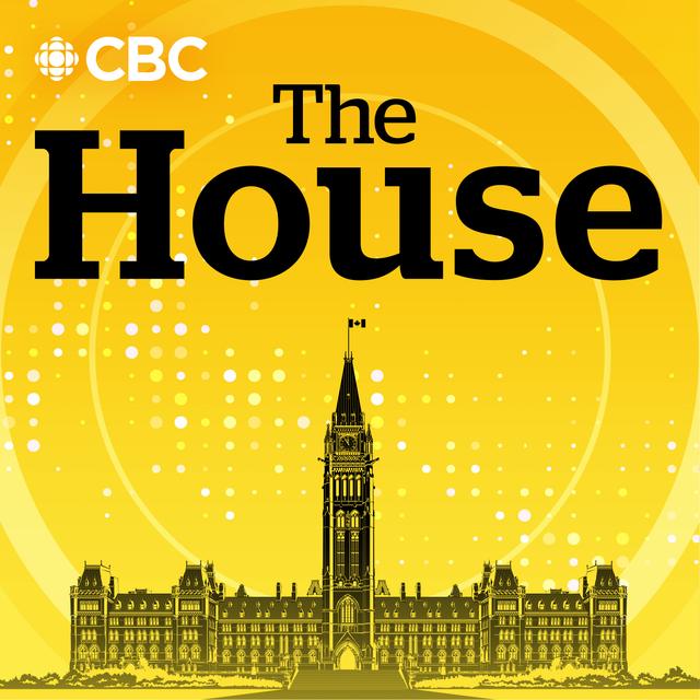 Trump's cut off Canada-U.S. trade talks. Now what? - podcast episode cover