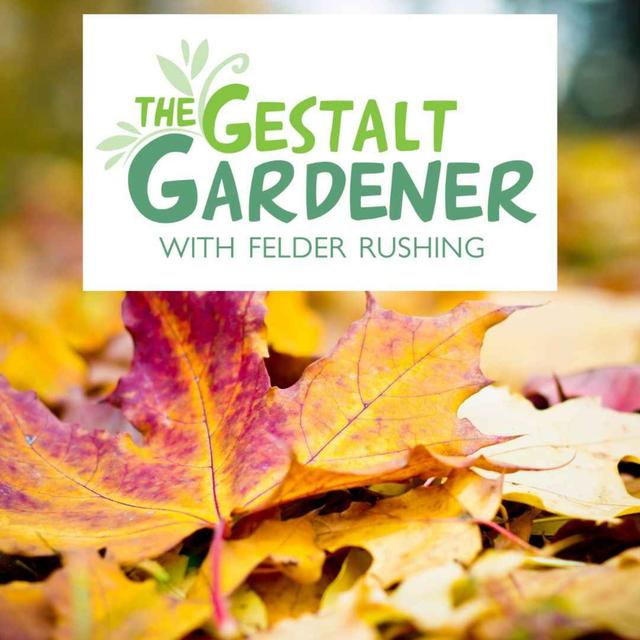 The Gestalt Gardener | The First Week of Autumn! - podcast episode cover