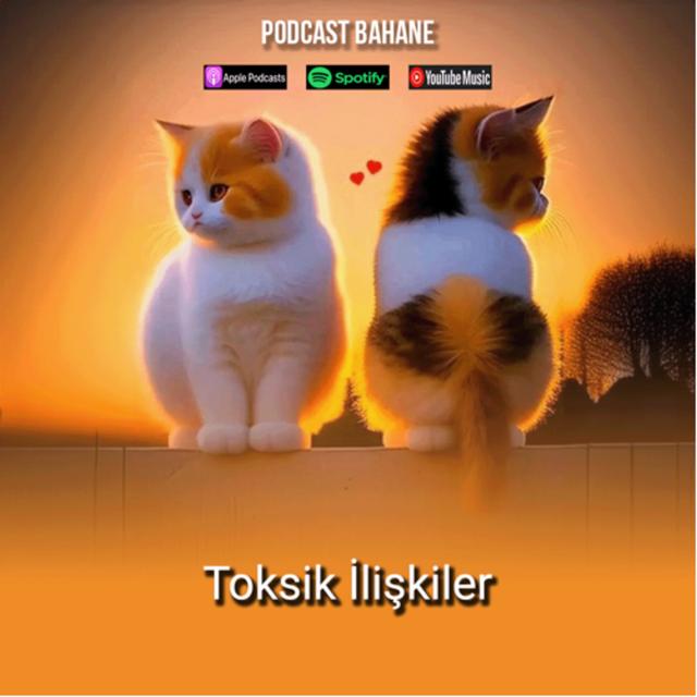 Konuklu Bölüm 2-2: Toksik İlişkiler - podcast episode cover