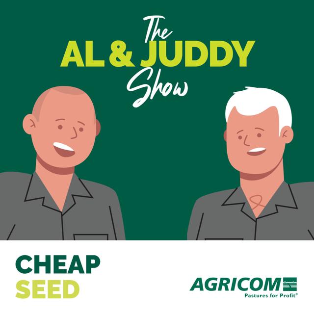 Cheap Seed – satisfaction may be limited to the day you purchase it - podcast episode cover
