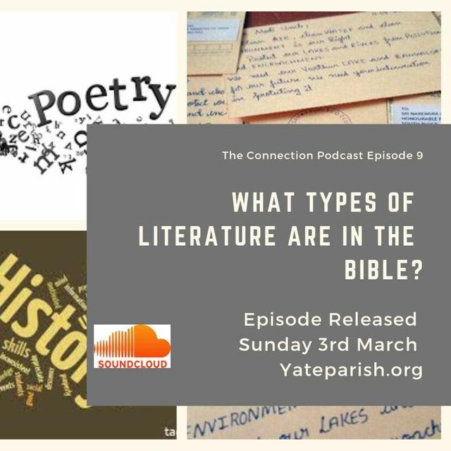 S2E8 What Types Of Literature Are In The Bible? - podcast episode cover