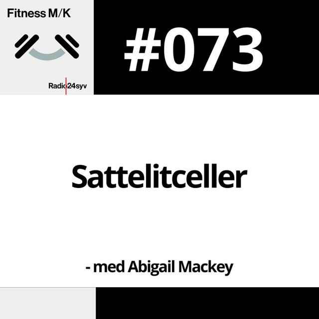 #073 Sattelitceller - podcast episode cover