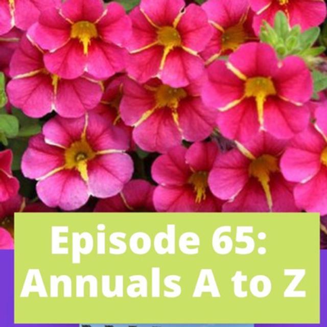 Annuals A to Z - podcast episode cover