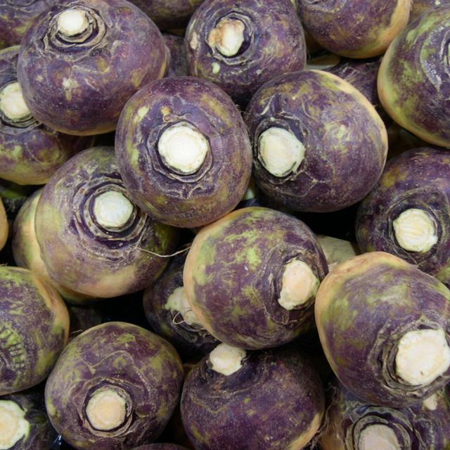Episode 240: Rutabagas vs. Turnips – The Eternal Struggle - podcast episode cover