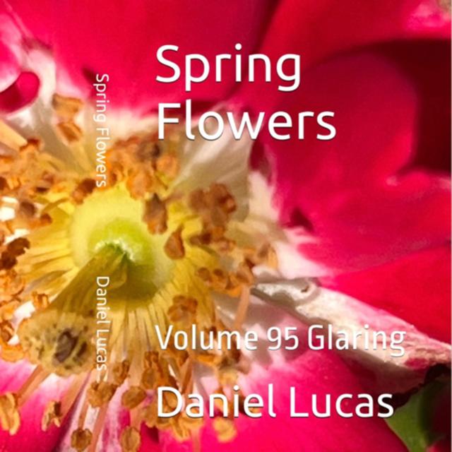 Spring Flowers Volume 95 Glaring by Daniel Lucas - podcast episode cover