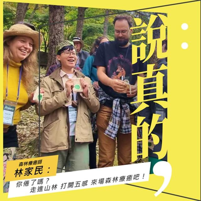 你倦了嗎? 走進山林，打開五感，來場森林療癒吧｜森林療癒師 林家民｜彭志宇｜ - podcast episode cover