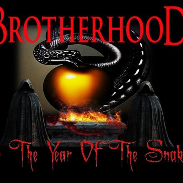 Show sample for 1/27/25: BROTHERHOOD – IN THE YEAR OF THE SNAKE W/ ALLEN GREENFIELD - podcast episode cover