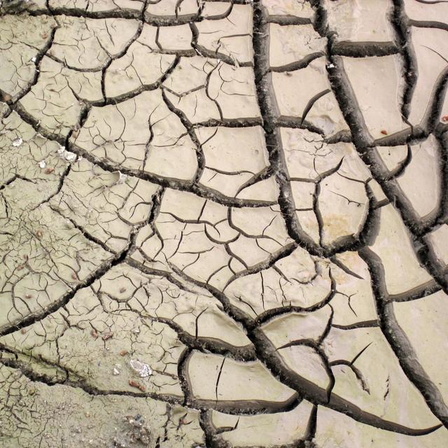 Heat Stroke with Bud Cooper and Radley Horton - podcast episode cover