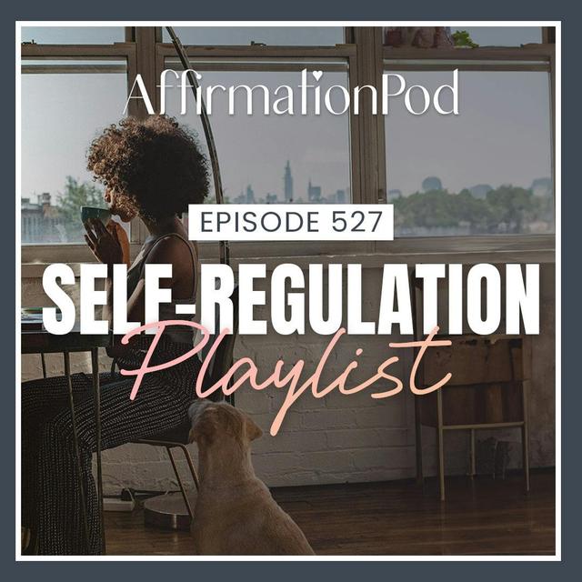 527 Self-Regulation Playlist - podcast episode cover
