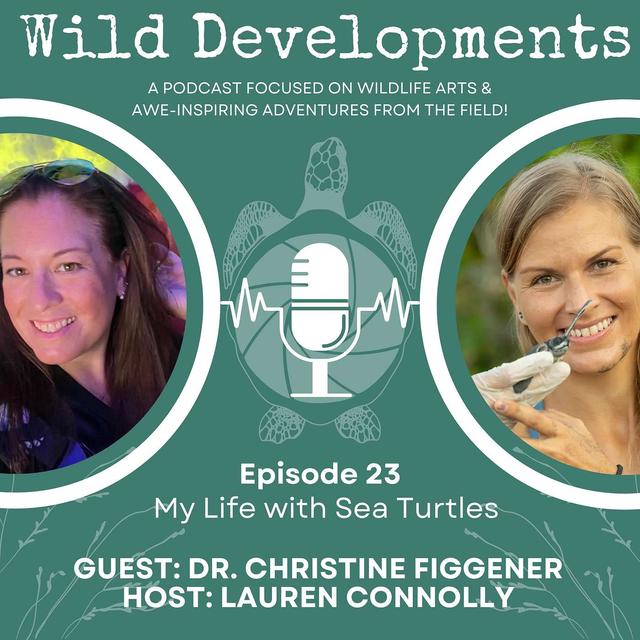 My Life with Sea Turtles - podcast episode cover