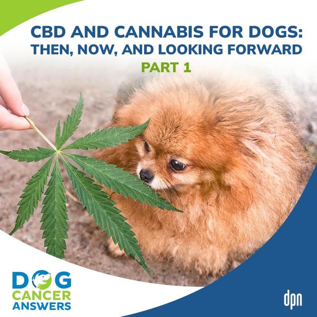 CBD and Cannabis for Dogs: Then, Now, and Looking Forward Part 1 | Dr. Narda Robinson #219 - podcast episode cover