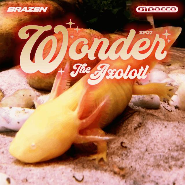 The Axolotl - podcast episode cover