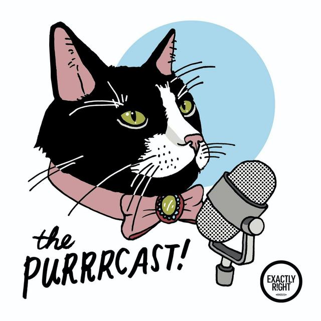 429 - Sarah M Gonzalez - Loose Tuxedo - podcast episode cover