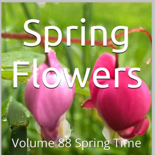 Spring Flowers Volume 88 Spring Time by Daniel Lucas - podcast episode cover