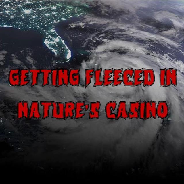 387. Getting Fleeced in Nature’s Casino - podcast episode cover