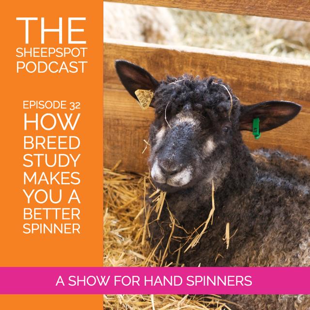 Episode 32: How breed study makes you a better spinner - podcast episode cover