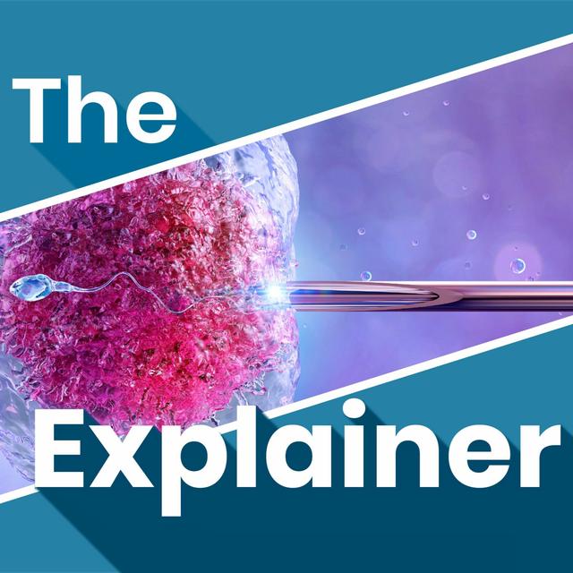 How will Ireland's new publicly funded IVF scheme work? - podcast episode cover