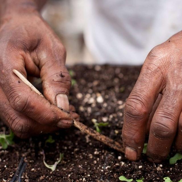 MALIK YAKINI on a Food Sovereign Future in Detroit /75 - podcast episode cover
