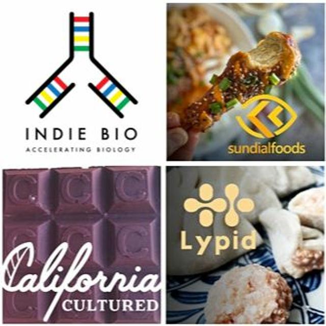 Lab Grown Chocolates, Plant Based Chicken Wings & Fats - podcast episode cover