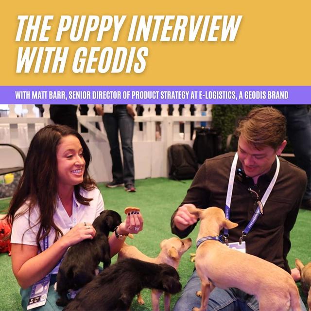 The Puppy Interview with Matt Barr of GEODIS' e-Logistics Brand - podcast episode cover