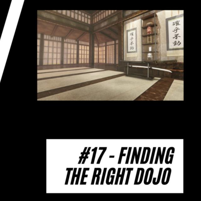#17  Finding The Right Dojo - podcast episode cover