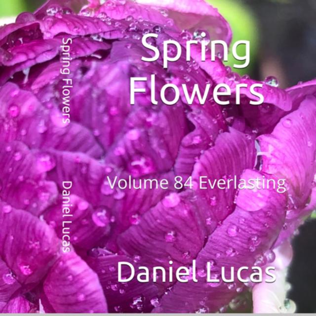 Spring Flowers Volume 84 Everlasting by Daniel Lucas - podcast episode cover