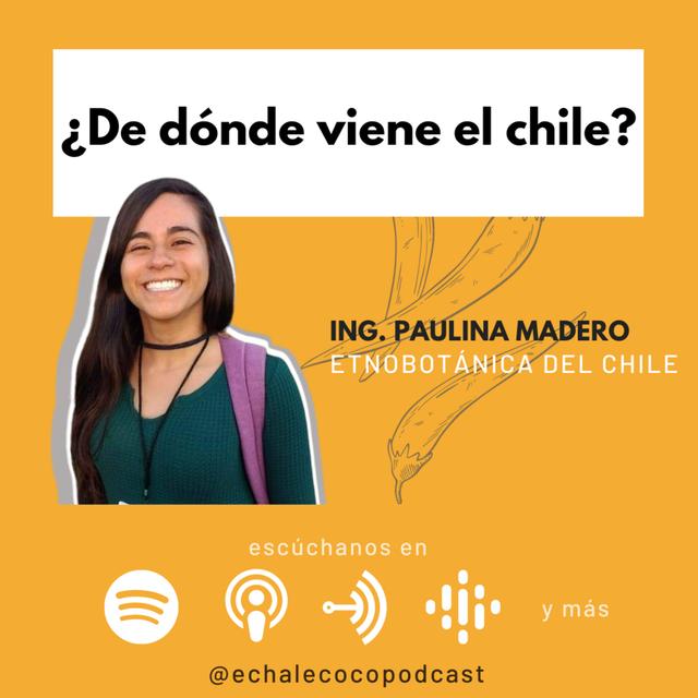 ¿De dónde viene el chile? Con Paulina Madero - podcast episode cover