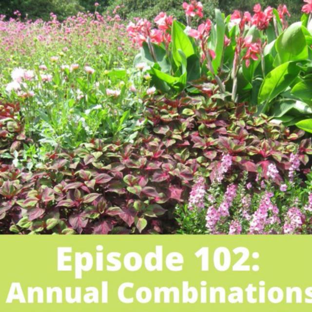 Annual Combinations - podcast episode cover