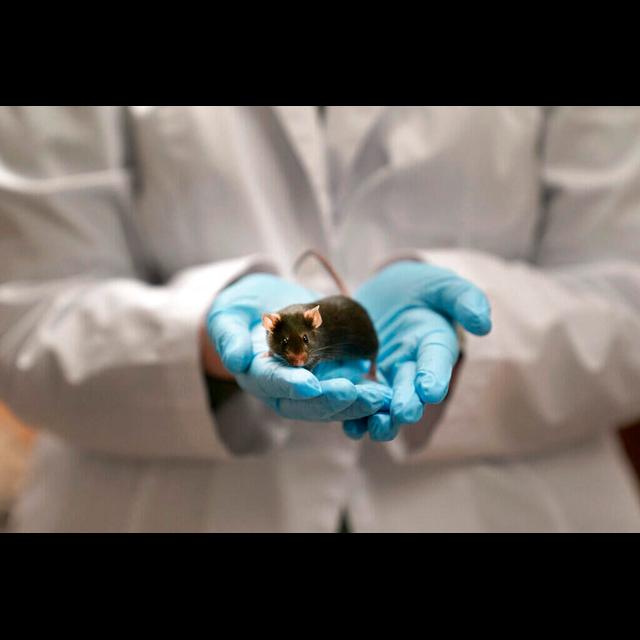Is animal testing even needed anymore? - podcast episode cover
