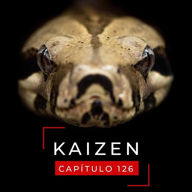 #126 Modelos Mentales 16: Agentes inmobiliarios, Tyson y hacer la cobra - podcast episode cover