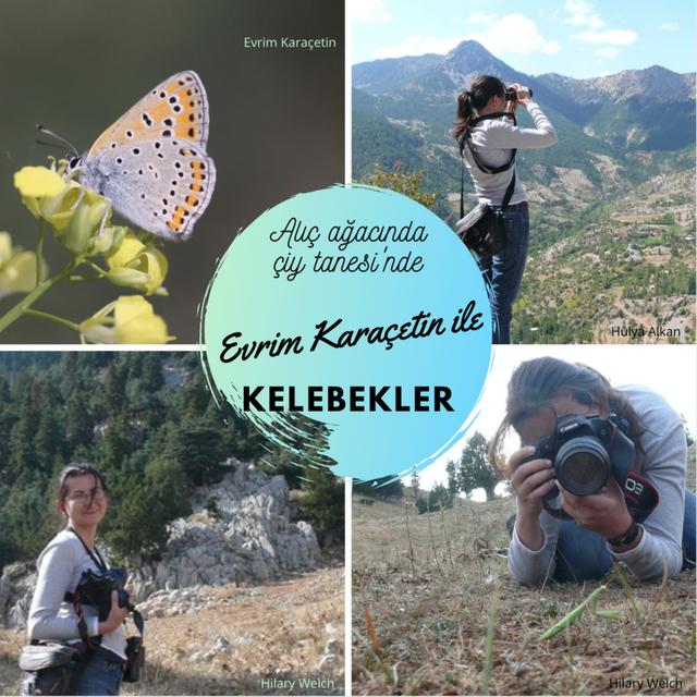 10. Evrim Karaçetin ile Kelebekler - podcast episode cover