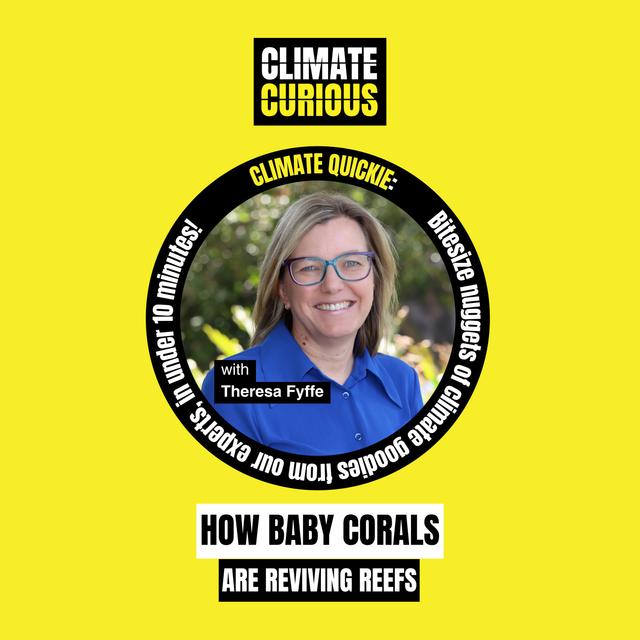How baby corals are reviving reefs - podcast episode cover