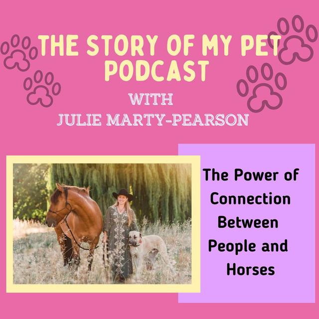 The Power of Connection Between People and Horses - podcast episode cover