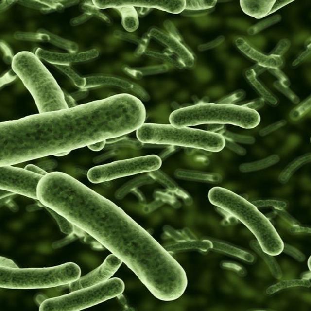 Towards a more nuanced view of the human microbiome: pathogens and evolution - podcast episode cover