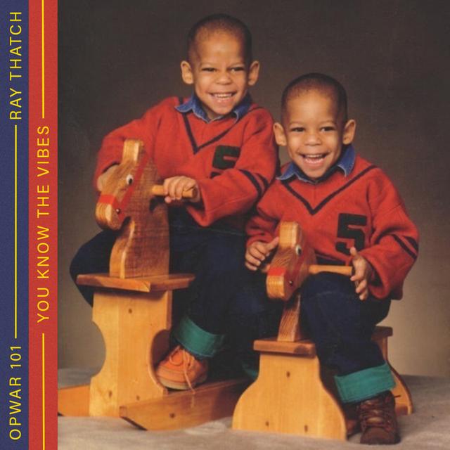 101 Ray Thatch: You Know the Vibes - podcast episode cover