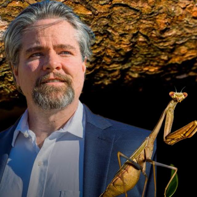 Entomology with Dr. Aaron Dossey - podcast episode cover