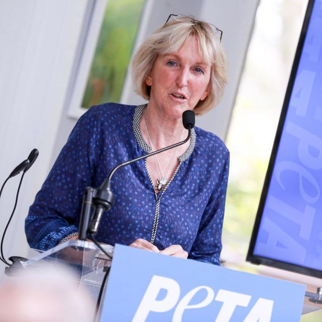 With Ingrid Newkirk - podcast episode cover