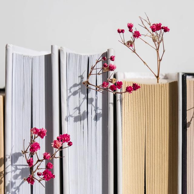 How to find a book you won't want to put down - podcast episode cover