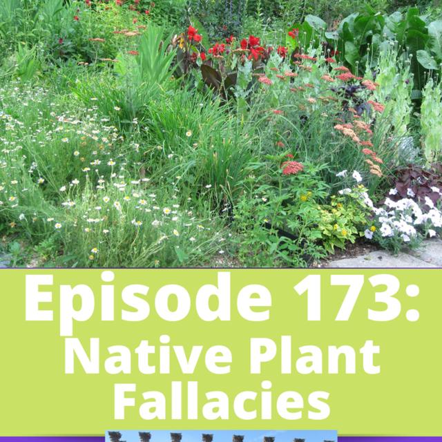 Native Plant Fallacies - podcast episode cover