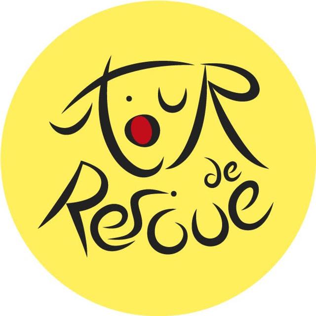 Poodle to Pitbull Pet Business Podcast -Episode 72 - podcast episode cover